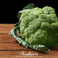 Calabrese Green Broccoli – 100 Seeds