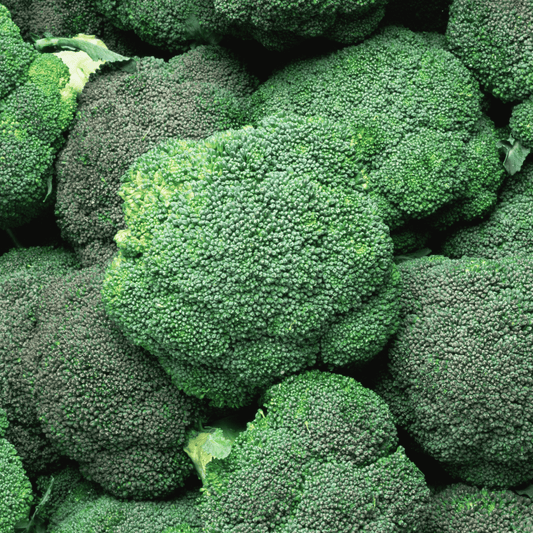 Hydra Broccoli Seeds