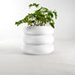 Bubble Planter/ Donut Planter with Drainage