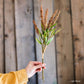Buddleja Butterfly Bush Bundle 18" Tall