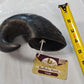 Water Buffalo Horn  Natural Long Lasting Dog Chew  7 by 4 + inches