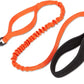 TrueLove Durable Bungee Dog Leash TLL2281