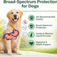 Liquid Dog Dewormer Hookworms Roundworms Lungworms Pinworms 120ml