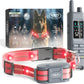 Dog Training Collar for 2 Dogs — 360° LED Lights, 4200FT Range, Waterproof