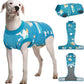 Female Dog Recovery Suit After Spay, XS–2XL