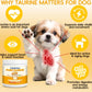Taurine Powder for Dogs 500mg Pure Supplement Heart Immune Coat 200g