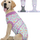Dog Recovery Onesie Suit After Surgery – 4 Colors, XS–2XL