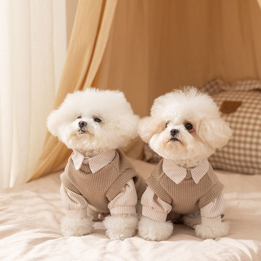 25-year New Autumn And Winter Thin Small And Medium-sized Dog Teddy Bichon Striped Two-legged Coat For Cats, Pets And Dogs