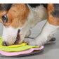 Ping-pong Bat Pet Dog Cat Puzzle