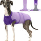 Female Dog Recovery Suit After Spay, XS–2XL