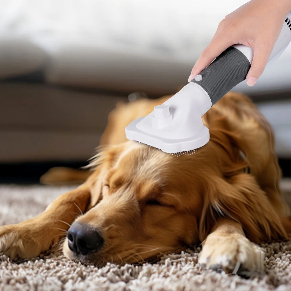 Secador de peluquería para perros pequeños y gatos