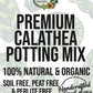 CALATHEA Premium Potting Mix