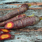 Cosmic Purple Carrot – 250 Seeds