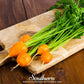 Parisian Carrot – 250 Seeds