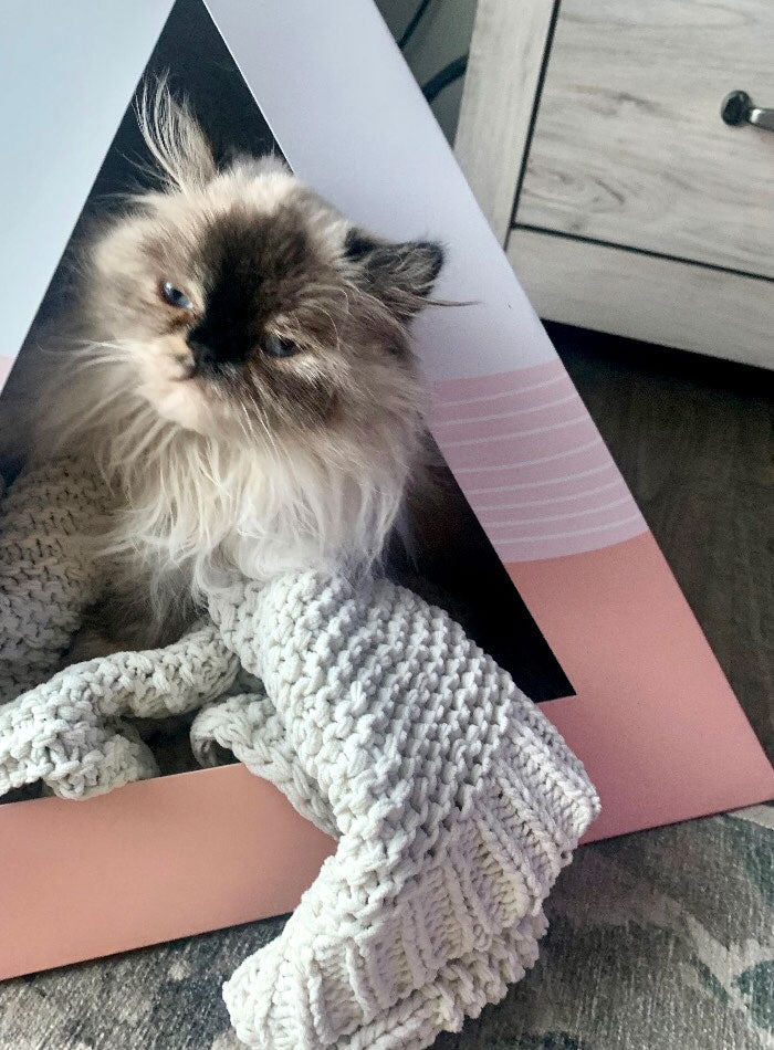 Pirámide Ondulada de Cartón para Gatos