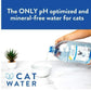 CATWATER by VETWATER | ph-Balanced and Mineral-Free Cat Water | 16.9 oz bottle