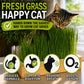 Self Watering Cat Grass Kit. The Easiest Way to Grow Cat Grass.