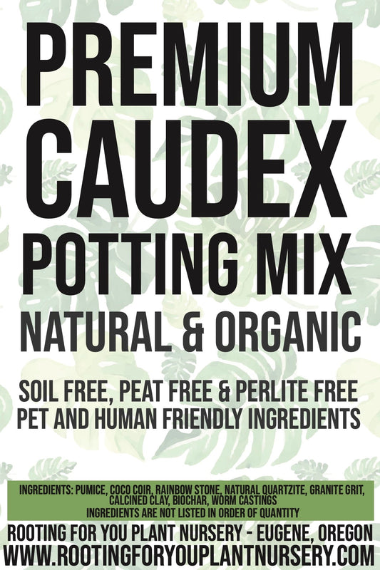 Caudex Premium Potting Mix