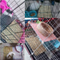 The Ultimate Chew-athon: 12 Grass Mats for Your Furry Friends' Snack Time and Nap Zone!