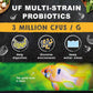 Tropical Fish Food Pellets Discus Angelfish Cichlids Color Enhance 4.6oz