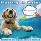 Dog Balls, Tennis Balls For Dogs,Colorful Easy Catching Pet Playing Ball