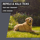 Frontline Shield Flea Tick Treatment for Dogs 5-10 lbs 3 Count