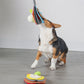 Ping-pong Bat Pet Dog Cat Puzzle