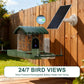 2-in-1 Smart Bird Feeder & Bath Camera, Dual 2K HD, Solar & AI Bird ID