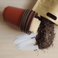 Grow Your Own Stir Fry Kit