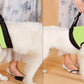 Old Disabled Golden Retriever Dog Pet Auxiliary Strap