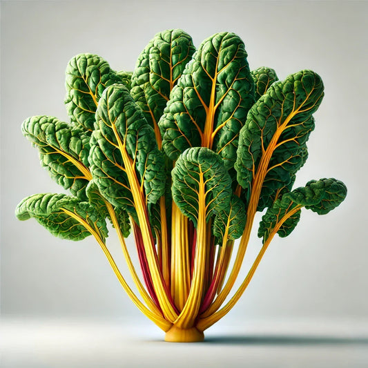 Chard (Gold) Seeds (4x)