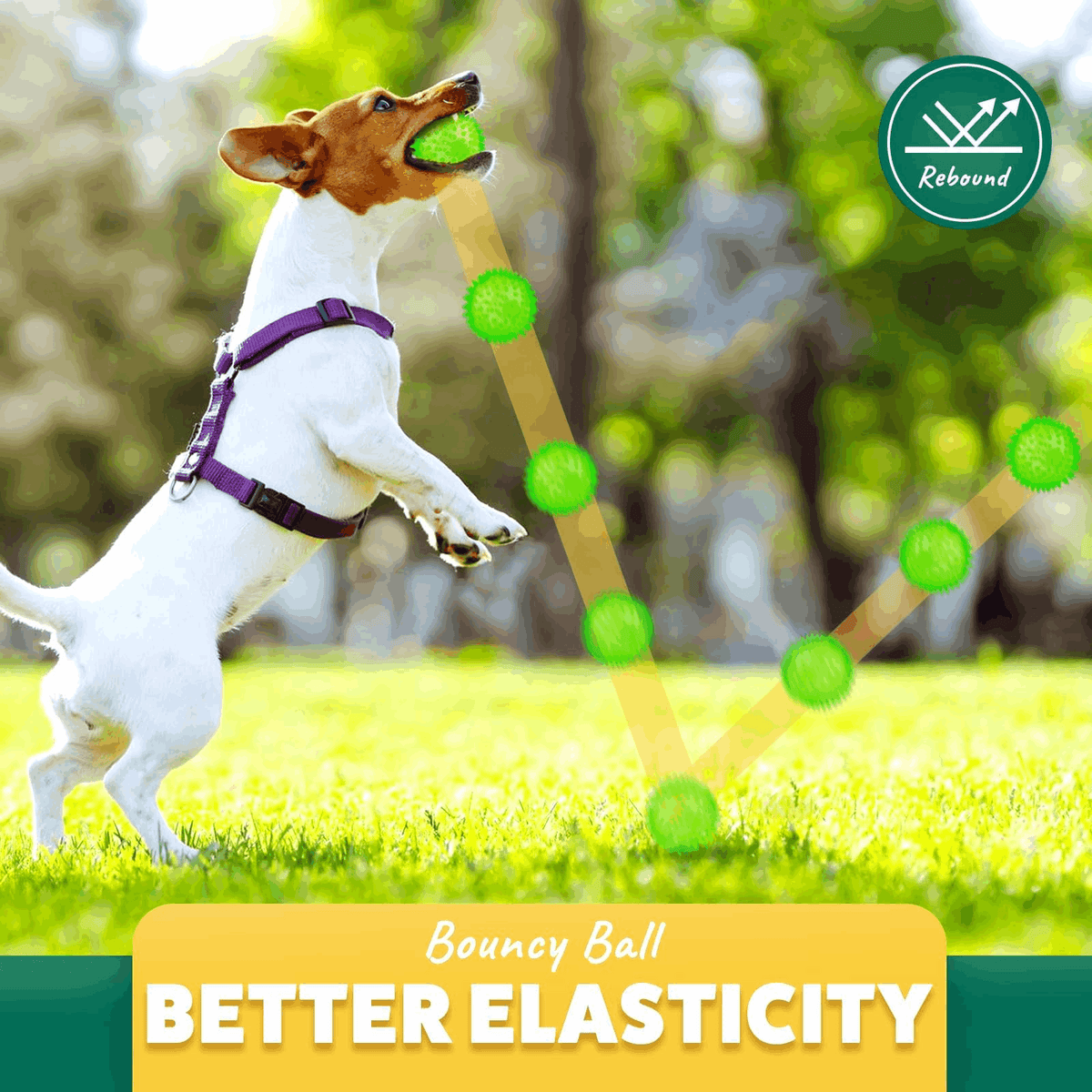 Pelotas chirriantes interactivas de 2.5” para cachorros, juguetes para la dentición, masticables para perros pequeños, limpieza dental y adiestramiento