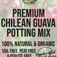 Chilean Guava Premium Potting Mix