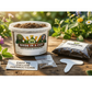 Chives Grow Kit | Grow Fresh Chives from Seed | Seeds In A Cup®