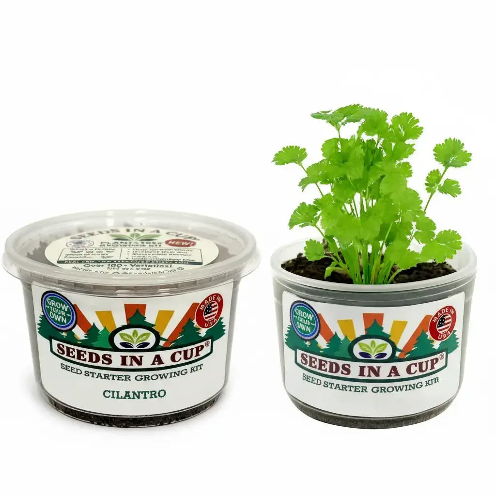 Cilantro Grow Kit | Grow Fresh Cilantro from Seed | Seeds In A Cup®