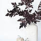 31" Faux Cimicifunga Ramosa Stem: Plum