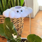 Clara The Cloud