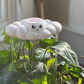 Clara The Cloud