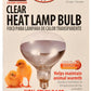 Clamp-On Brooder Heat Lamp for Chicks & Poultry - Compatible with 250W Red & Clear Heat Bulbs