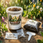 Japanese Maple Grow Kit | Grow Japanese Maple from Seed | Seeds In A Cup®