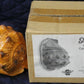 Blue Ribbon Small Hand Printed Resin Conch Sea Shell Aquarium Ornament for Aquar
