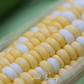 Peaches & Cream Corn – 30 Seeds
