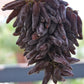 Cotton Candy - Heirloom Rare Deep Black Purple Finger Grape Seeds - Vitus Vinifera - Sweet Fruit