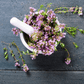 Creeping Thyme – 250 Seeds