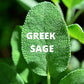 Crete Tea