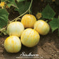 Lemon Cucumber – 30 Seeds