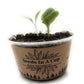 Cucumber | Plant Seed Starter Grow Kit | Seeds In A Cup®