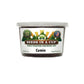 Cumin Grow Kit | Grow Fresh Cumin from Seed | Seeds In A Cup®