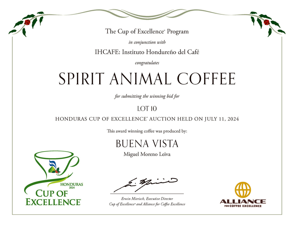 LAST FEW BAGS LEFT! Cup of Excellence Honduras Geisha (#10 Best)