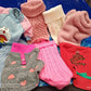 Dog Outfit Bundle ( Xtra Small 4 to 6 Pound Pets ) Brand New Save with a Bundle